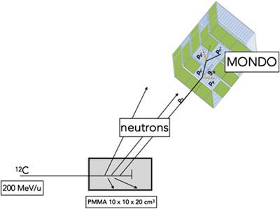 The MONDO Tracker: Characterisation and Study of Secondary Ultrafast Neutrons Production in Carbon Ion Radiotherapy